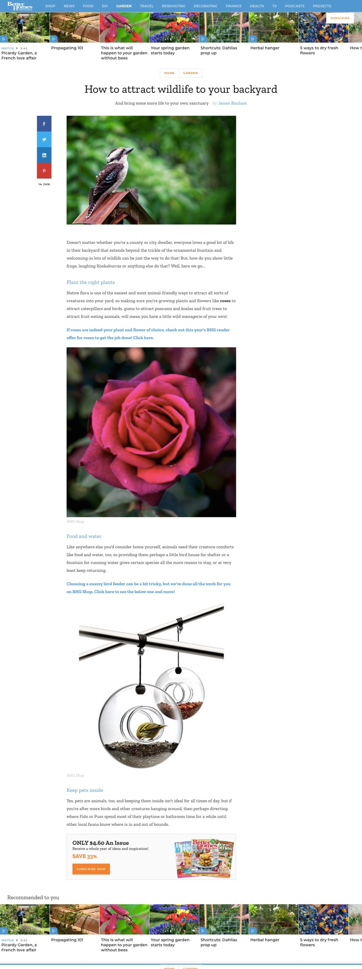 Better Homes Gardens - How to attract wildlife to your backyard - Better Homes and Gardens