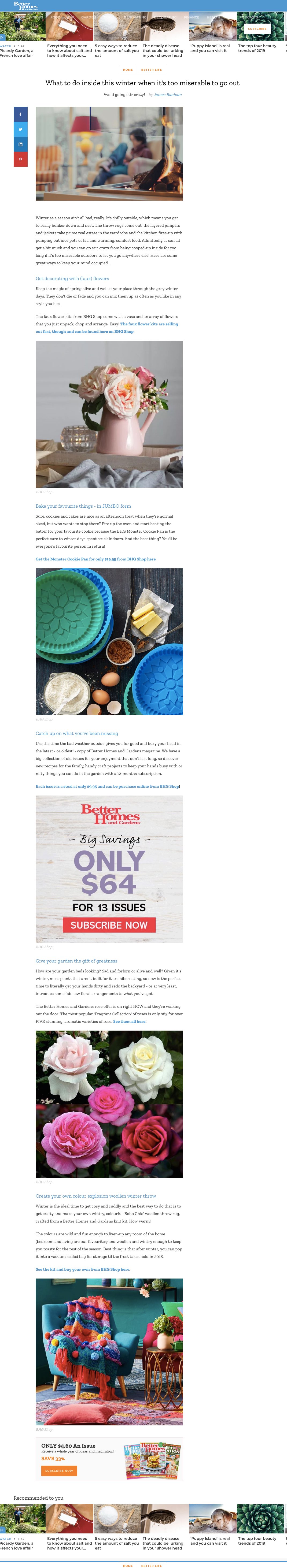 Better Homes Gardens - What to do inside this winter when it's too miserable to go out